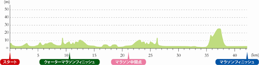 神戸マラソン高低図