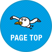 PAGE TOP