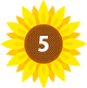 5